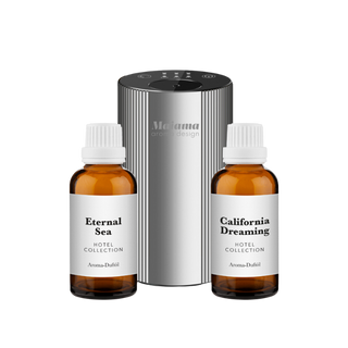 Mini diffuser set silber mit zwei Flaschen im frischen Duftstil