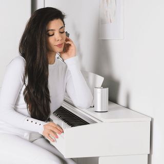 Welcher Duft passt ins Wohnzimmer? Die besten Raumdüfte für eine angenehme Atmosphäre - Maiama Aroma Design