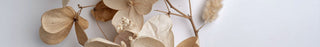 Elements Collection - Maiama Aroma Design