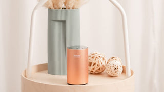  Miamo Aroma elegant diffuser adding fragrance and style to modern interiors