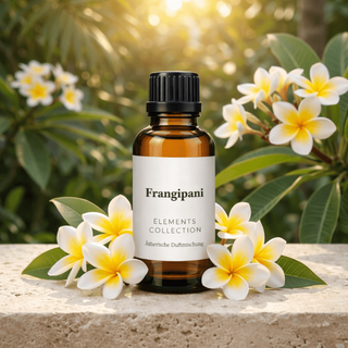 Frangipani - ätherische Duft Mischung - aus der Elements Collection | Duftstil: fruchtig - Maiama Aroma Design