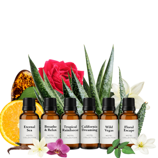 Discovery 6er Set mit 20ml Aroma Duftölen aus der Hotel Collection - Maiama Aroma Design