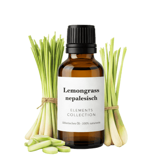 Lemongrass nepalesisch - ätherisches Öl - aus der Elements Collection | Duftstil: frisch - Maiama Aroma Design