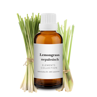 Lemongrass nepalesisch