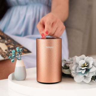 MINI Diffuser rose gold Raumduft