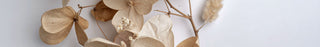 Aroma Duft Blaetter getrocknet 